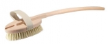 Sauna brosse