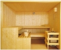 sauna bio et finlandais