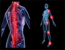 Rayonnement infrarouge sur le corps humain Point important du rayonnement infrarouge sur le corps humain